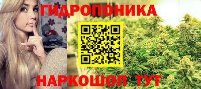 ешки Донецк