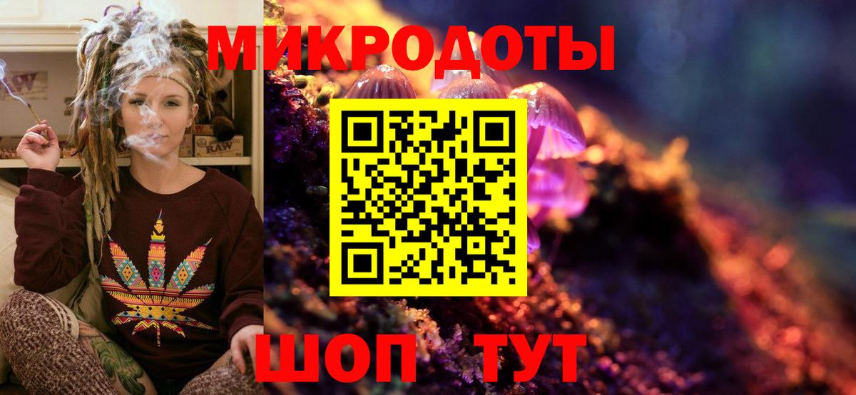 Галлюциногенные грибы Psilocybine cubensis  Вход с VPN  Псилоцибиновые грибы Cubensis  Майкоп 